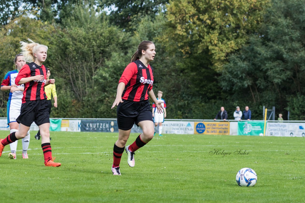 Bild 147 - B-Juniorinnen SVHU - Weststeinburg : Ergebnis: 15:0